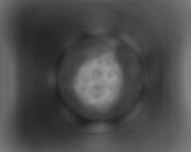 X0000100910065200807081133