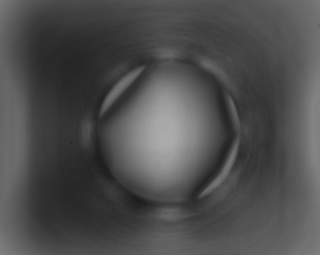 X0000100910066200807081133