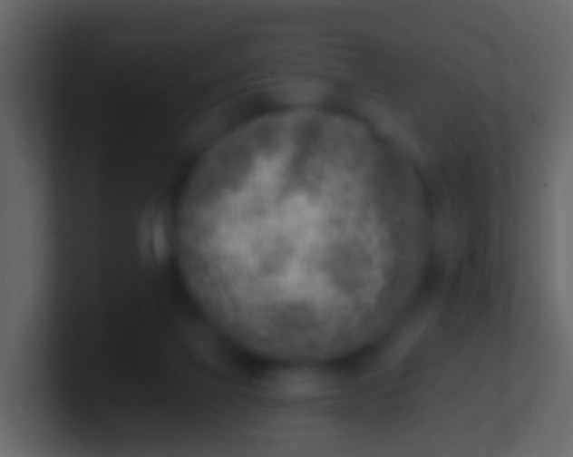 X0000100910069200807081133