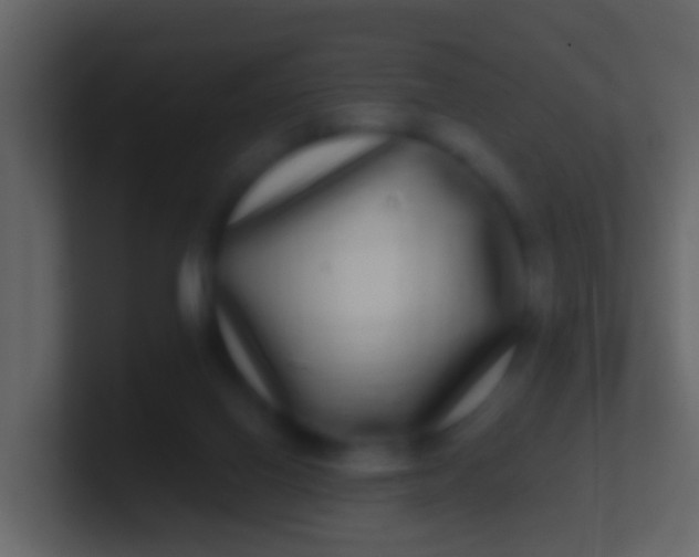 X0000100910070200807081133