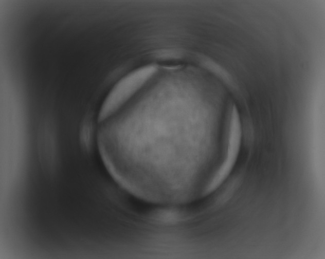 X0000100910071200807081133