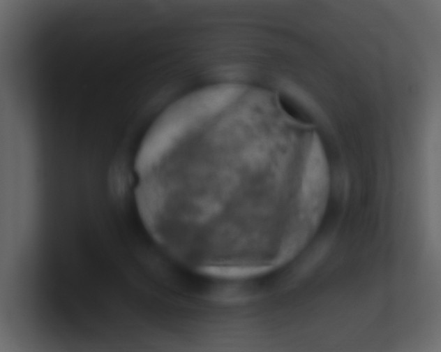 X0000100910072200807081133