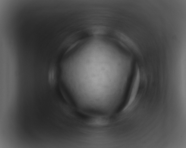 X0000100910074200807081133