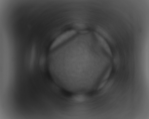 X0000100910079200807081133
