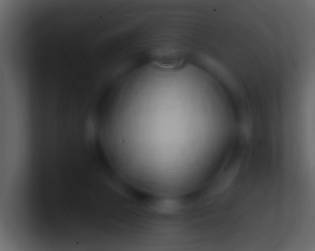 X0000100910081200807081133