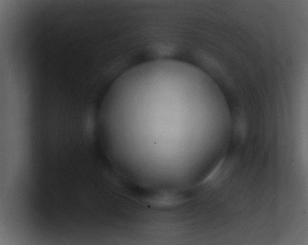 X0000100910082200807081133
