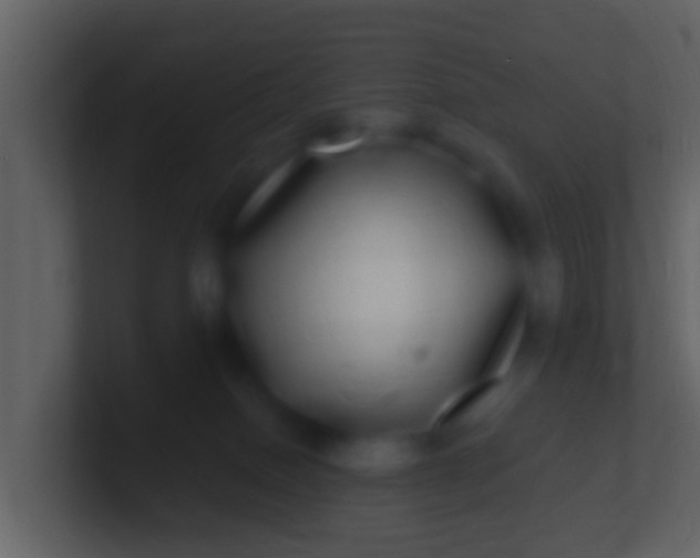 X0000100910086200807081133