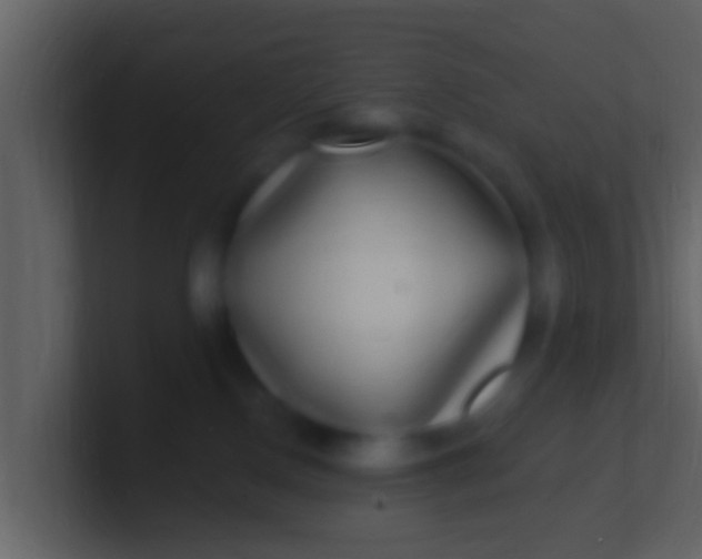 X0000100910090200807081133
