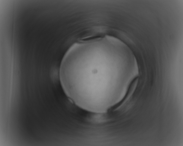 X0000100910096200807081133