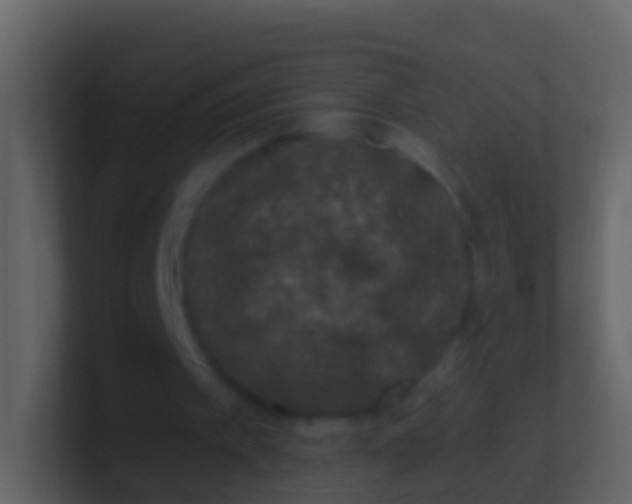 X0000100910097200807081133
