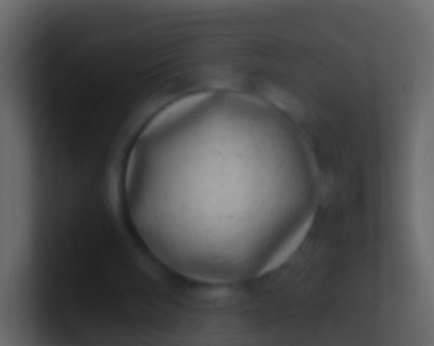 X0000100910098200807081133