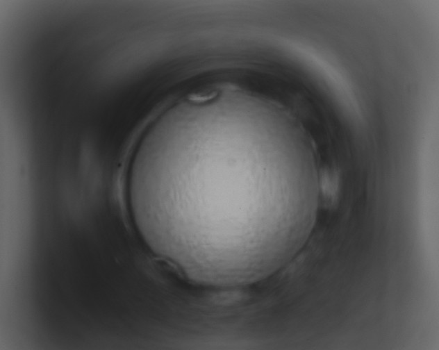 X0000100910099200807081133
