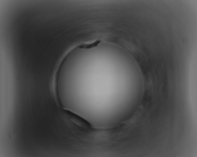 X0000100910100200807081133
