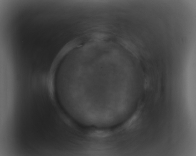 X0000100910101200807081133