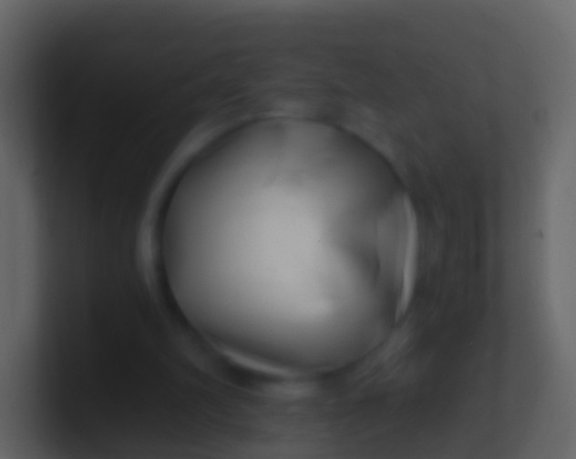 X0000100910102200807081133