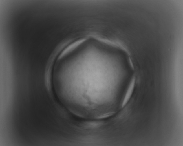 X0000100910103200807081133