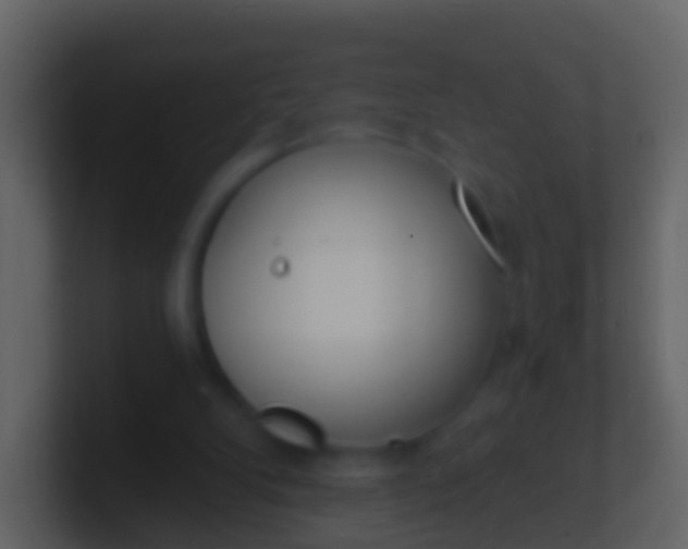 X0000100910104200807081133