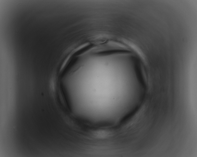 X0000100910105200807081133