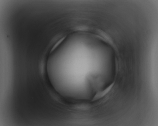 X0000100910106200807081133
