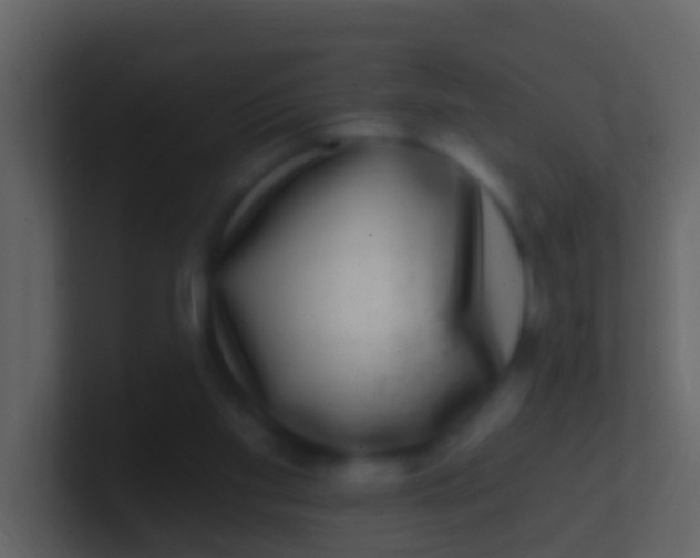 X0000100910109200807081133