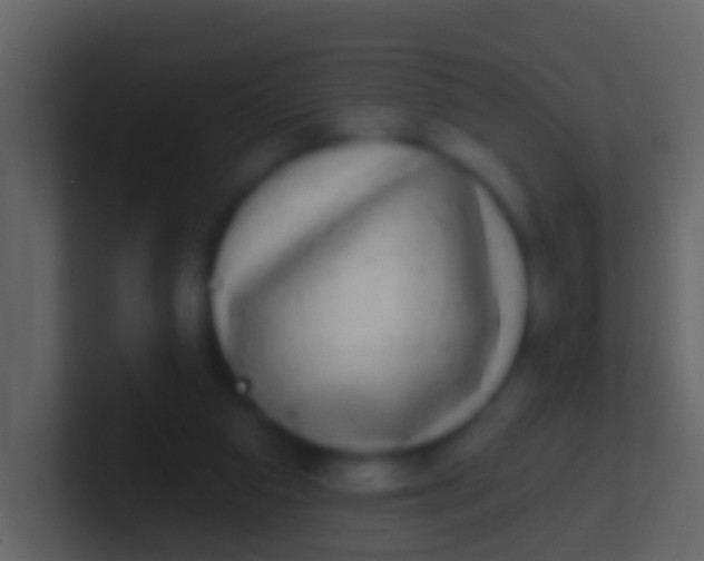 X0000100910113200807081132