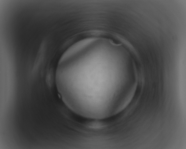 X0000100910119200807081132