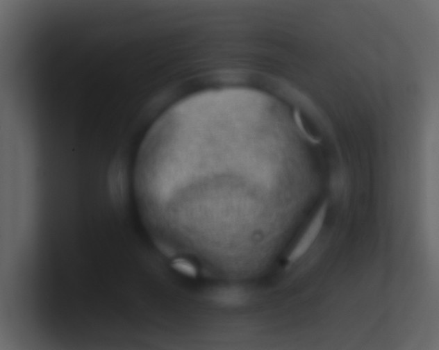 X0000100910120200807081132
