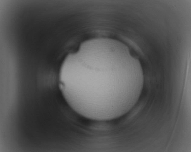 X0000100910123200807081132