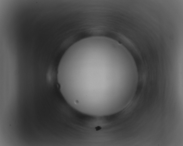 X0000100910124200807081132