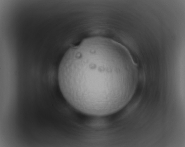 X0000100910127200807081132