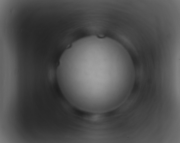 X0000100910130200807081132