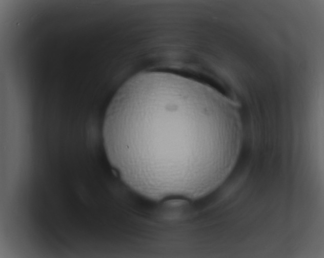 X0000100910131200807081132