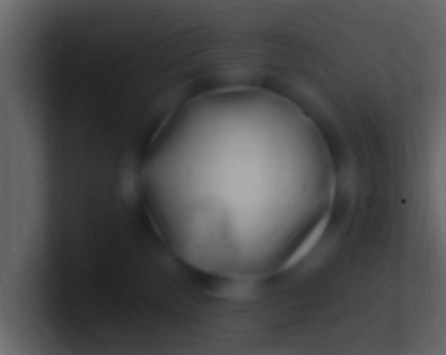 X0000100910138200807081132