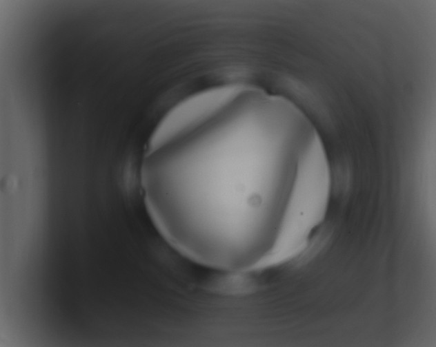 X0000100910140200807081132