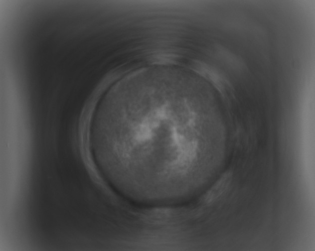 X0000100910145200807081131