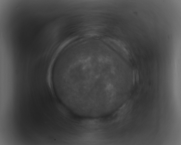 X0000100910147200807081131