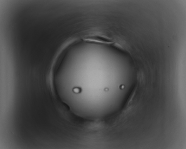 X0000100910148200807081131
