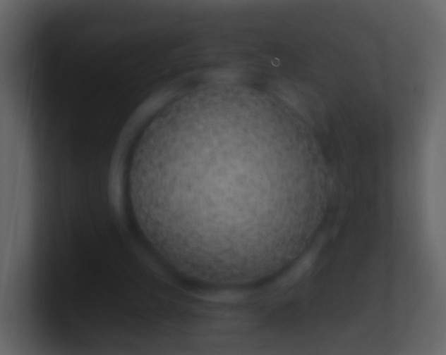 X0000100910149200807081132