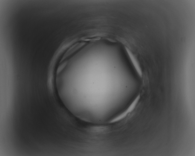 X0000100910150200807081132