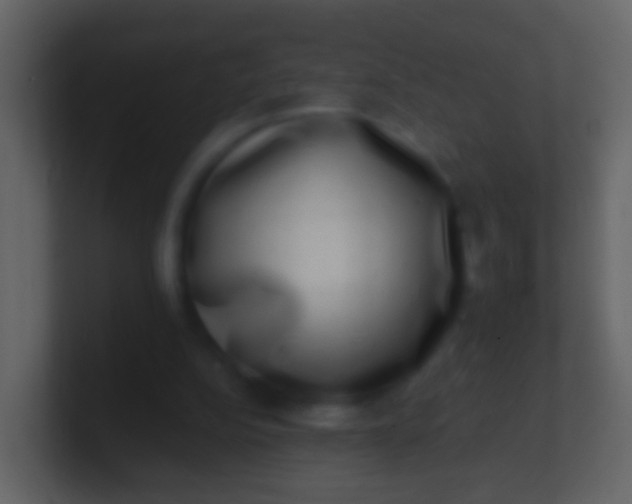 X0000100910152200807081132