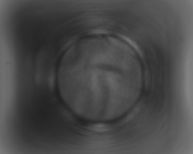 X0000100910153200807081132