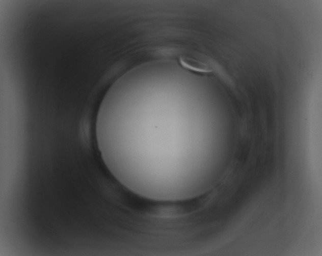 X0000100910154200807081132