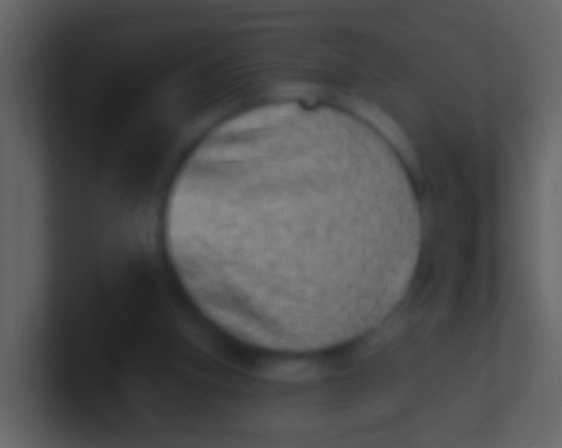 X0000100910155200807081132