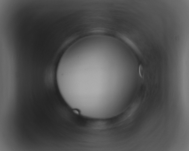 X0000100910156200807081132