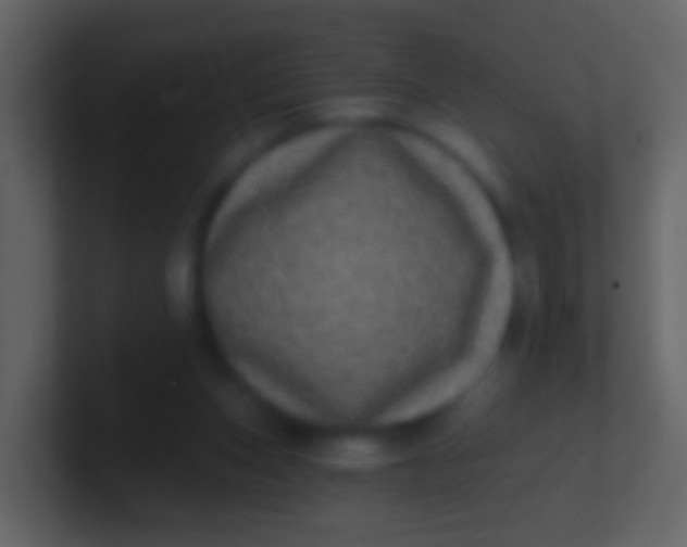 X0000100910159200807081132