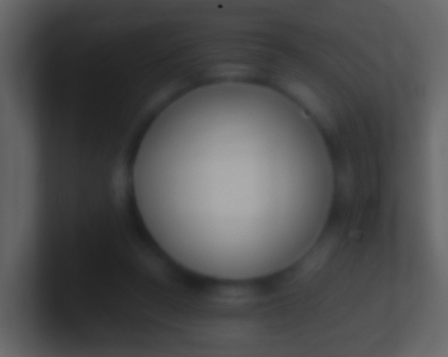 X0000100910160200807081132