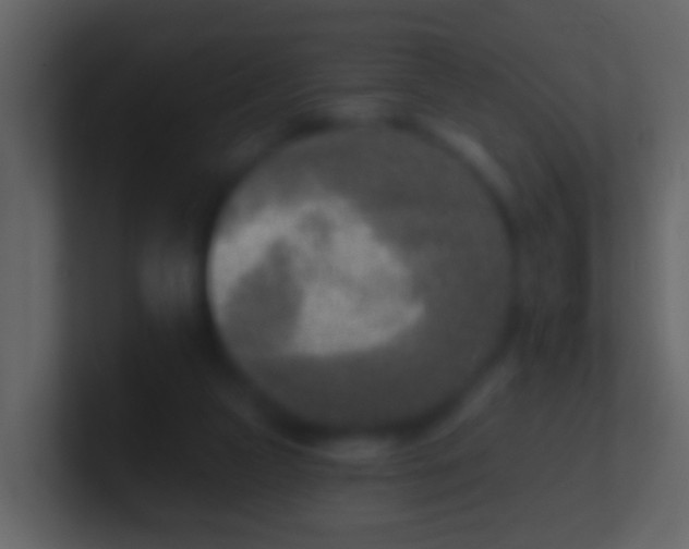 X0000100910161200807081132