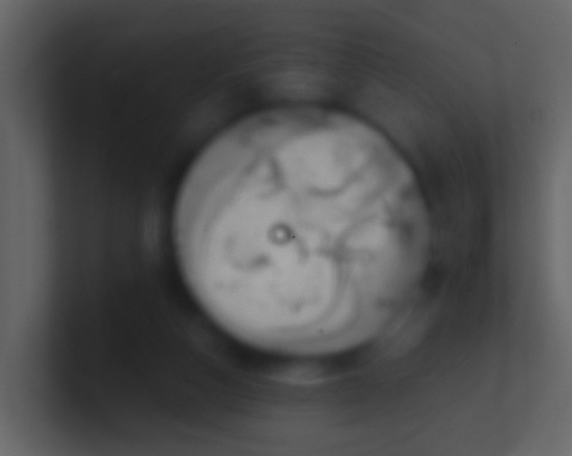 X0000100910162200807081132