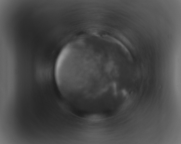 X0000100910163200807081132