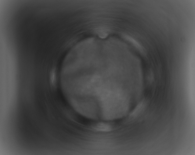 X0000100910166200807081132